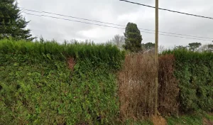 Electricien Electricité Services Franck Dithurbide à Saint-André-de-Seignanx