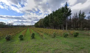 Electricien Lapierre Sarl à Saint-Hilaire-de-Brethmas