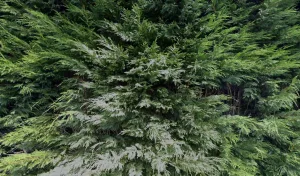 Electricien ABM Elec à Wavrin