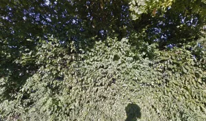 Electricien Egdam à Saint-Martin-en-Haut