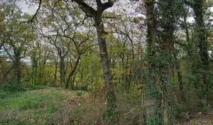 Electricien Brown Paul à 47110 Dolmayrac