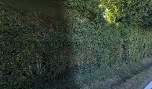 Electricien go-elec à Bonnebosq