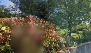 Electricien H24 ELEC / MEDINA Pascal à Sussargues