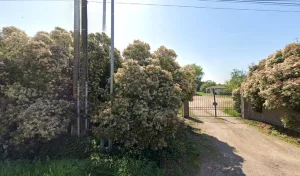 Electricien Fredon David à Magnet