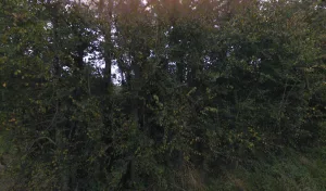 Electricien Bichelot Jacky à Bangor