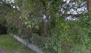 Electricien Schollaert Florian à Châtel-Censoir