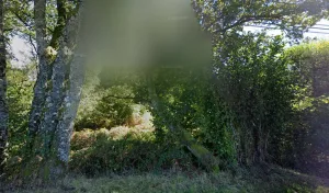 Electricien Garcia Georges à Rosiers-d'Égletons