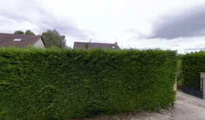 Electricien AP2A à Izeure