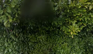 Electricien Gomez Electricite à Tournefeuille