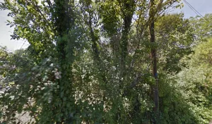 Electricien Canovas David à 24140 Saint-Martin-des-Combes