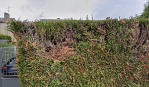 Electricien Lecoq Electricite à Saint-Jean-de-Braye