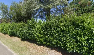 Electricien Teura Christian à Montcaret