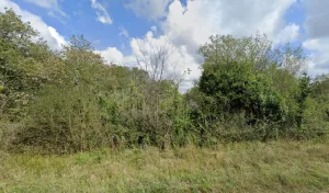 Electricien Élec et jardin à Esclauzels