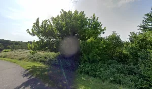 Electricien Adepp à Chamadelle