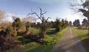 Electricien Le champ d&rsquo;à côté à Pernes-les-Fontaines