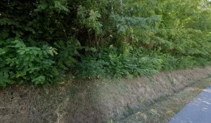 Electricien SR2A à Mercurol-Veaunes