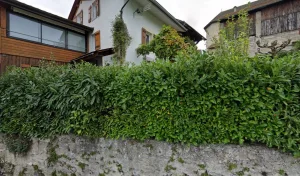 Electricien Curdy Alain à Publier