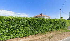 Electricien CEG Aquitaine à Vayres