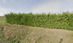 Electricien Sarl L Celec à Chas