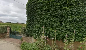 Electricien Burel Patrick à 14700 Pertheville-Ners