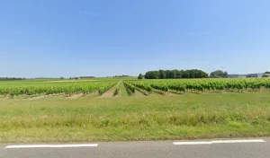 Electricien SAS Dubergey Olivier à Sauveterre-de-Guyenne