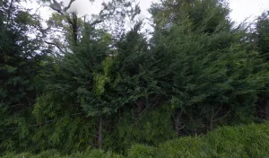 Electricien DKE Diboues Kevin Électricité à La Teste-de-Buch