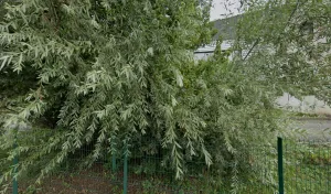 Electricien Proelis Industrie à Argonay