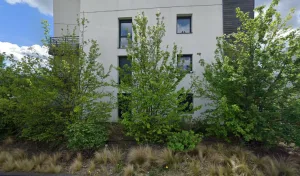 Electricien RB city electric à Le Cendre