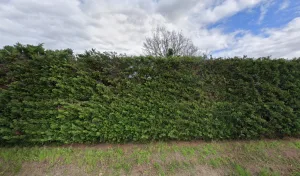 Electricien Lanies Jean-Marc à Castelsarrasin