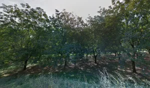 Electricien SG ELEC MULTISERVICES à Tullins