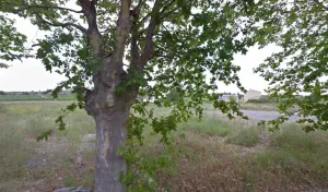 Electricien MN2B à Ouveillan