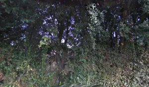 Electricien Plazy Jean Marc à Roquemaure