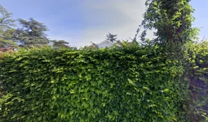 Electricien IDG-COM à Saint-Bernard