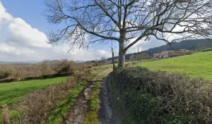 Electricien Courtois Jean-Yves à Dompierre-les-Ormes