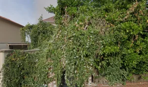 Electricien France Electricité à L'Haÿ-les-Roses