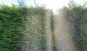 Electricien GH Electricité à Lys-lez-Lannoy