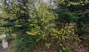 Electricien OGELEC Technology à Mournans-Charbonny