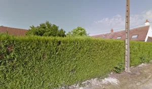 Electricien Sevret Thierry à 18190 Uzay-le-Venon