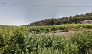 Electricien ECO-ELECSUD à Montferrier-sur-Lez