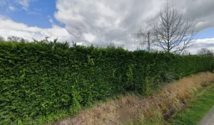 Electricien Plumet Sylvain à Duhort-Bachen