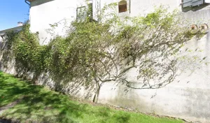 Electricien Mattiussi Christian à 32700 Castéra-Lectourois