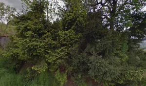 Electricien SASU H.PINEAU LORRAINE POMPES à Fraize