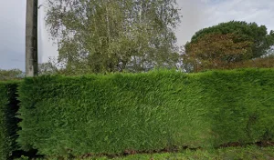 Electricien Haye Jarriau à Le Busseau