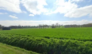 Electricien Electricité Générale Betton – Michel Lainé à Betton