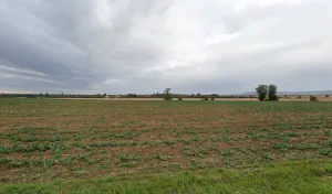 Electricien Dos Santos Philippe à Merceuil