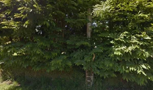 Electricien AVRELEC à Saint-Sauveur