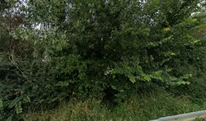 Electricien Barrelec à Nouilly