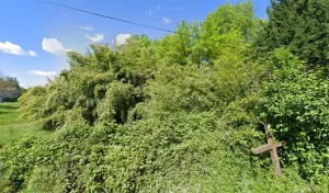 Electricien Adrien OTTOBON Electricien à 24190 Neuvic