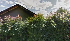 Electricien IGP Electricite Rene à Riverie