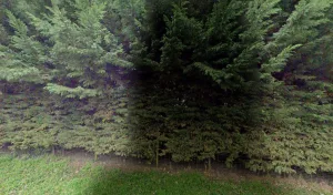 Electricien Mothes Pierre à Montesquieu